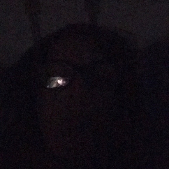 joeysmimi123